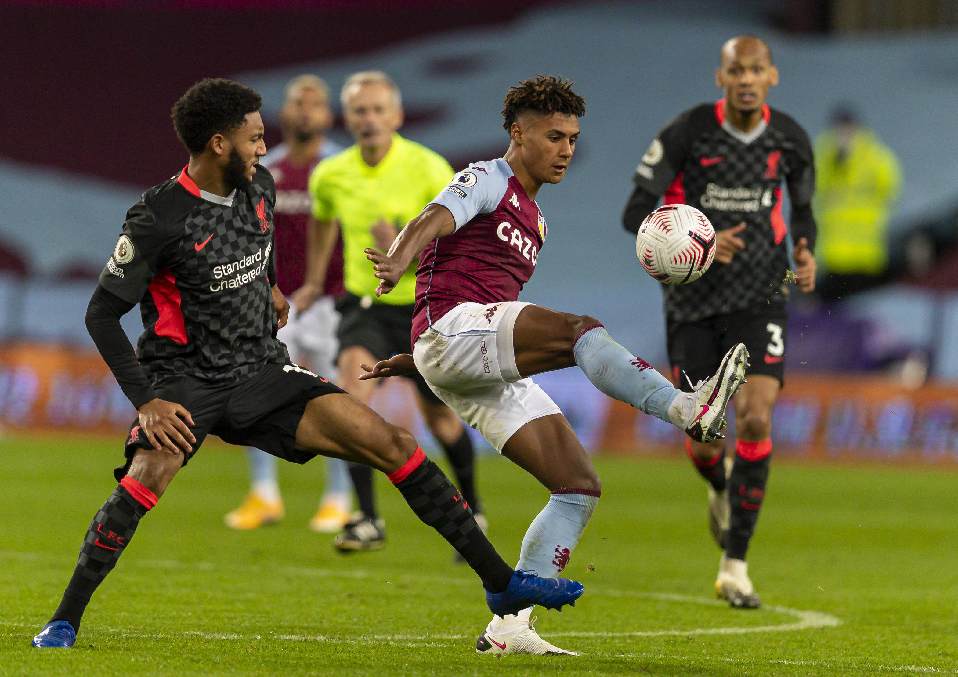 红不仅是她 红不仅是她