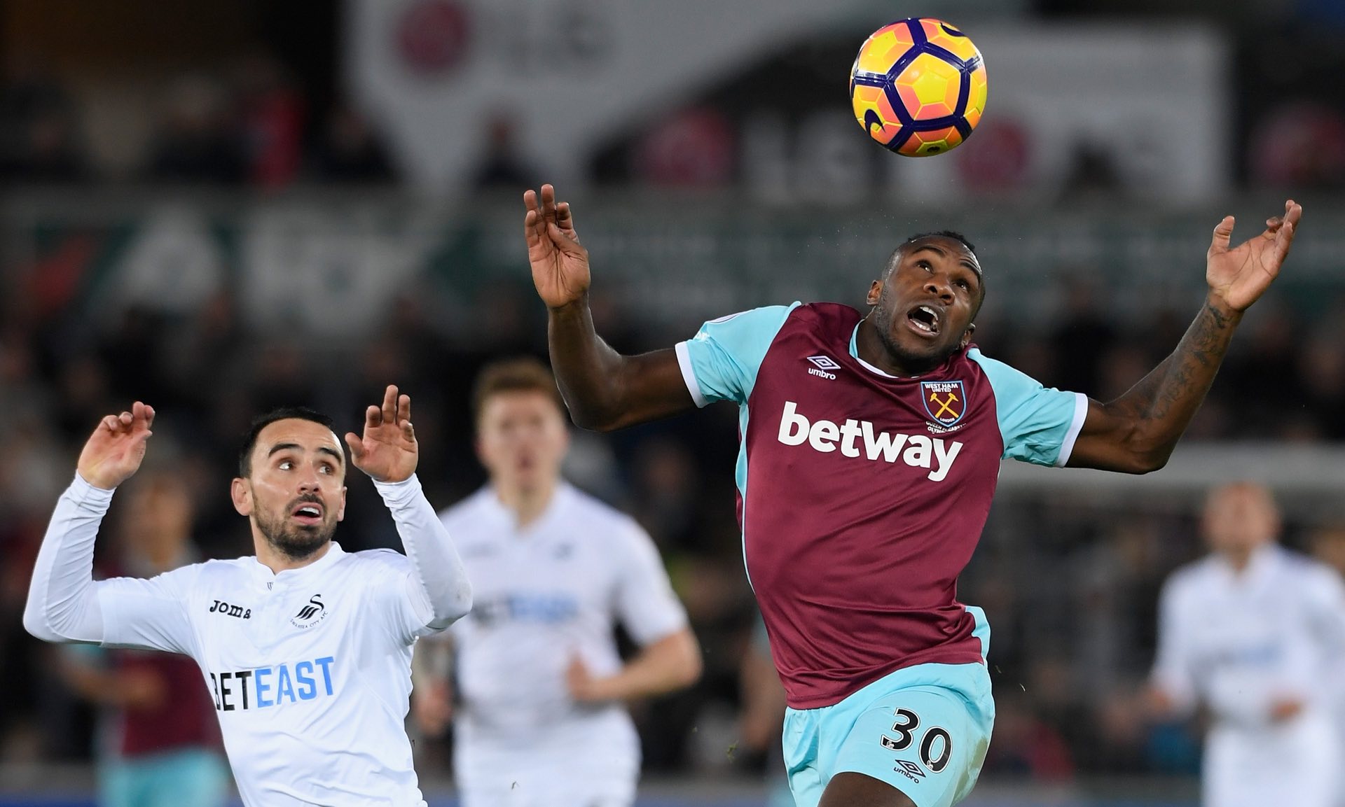 纽卡斯尔采 纽卡斯尔采